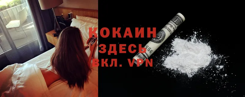 закладки  Чкаловск  Cocaine Колумбийский 