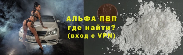 спиды Новозыбков