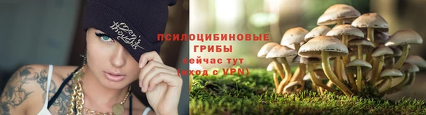 гашишное масло Новокубанск