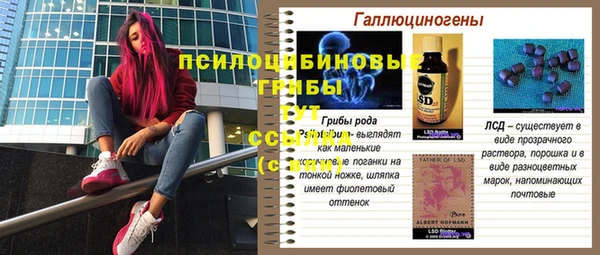 2c-b Нефтегорск