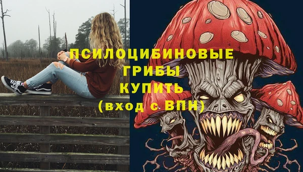спиды Новозыбков