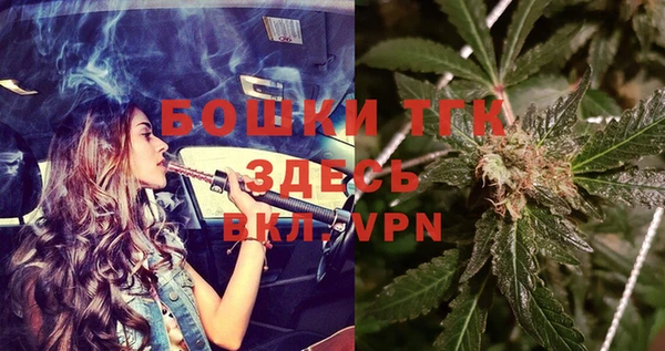 спиды Новозыбков