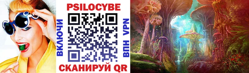 omg сайт Чкаловск Галлюциногенные грибы MAGIC MUSHROOMS