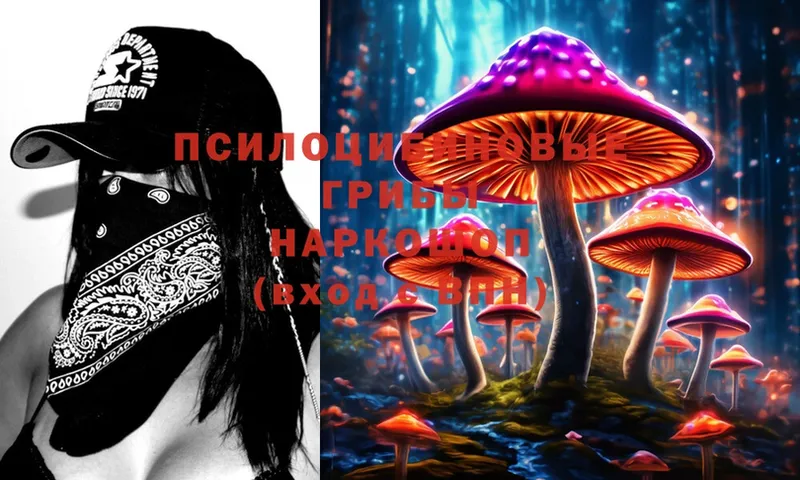 Псилоцибиновые грибы Magic Shrooms  Чкаловск 